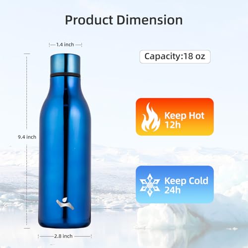 18 oz Insulated Stainless Steel Metal Water Bottle with Strap