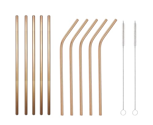 10 Pcs Stainless Steel Straws