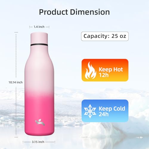 25 oz Insulated Stainless Steel Metal Water Bottle with Strap