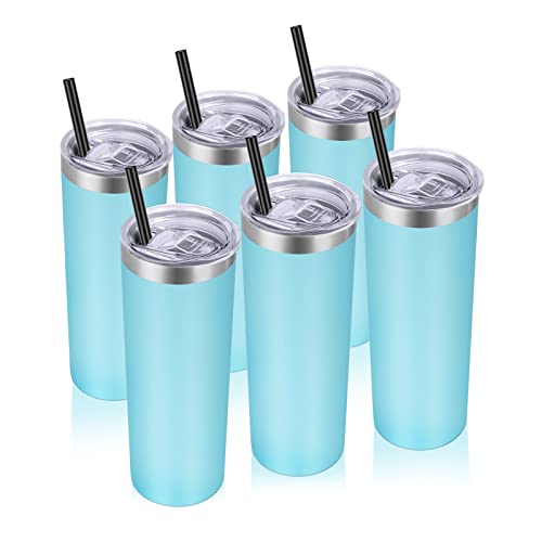 Stainless Steel Tumblers Bulk 6 Pack (6 Count)