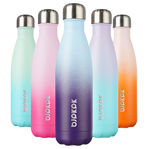 17 oz Insulated Water Bottle