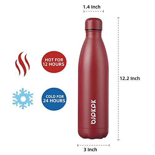 25 oz Insulated Water Bottle