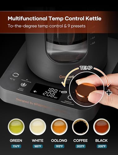 Electric Tea Kettle with Infuser