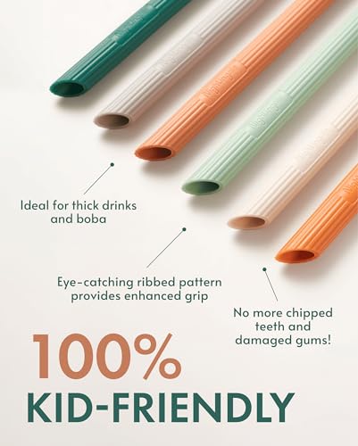 Silicone Smoothie Straws (6 Count)
