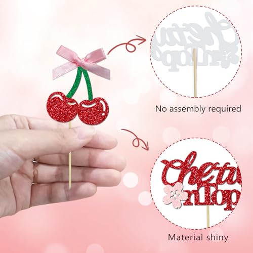 24 Pack She's the Cherry On Top Cupcake Toppers (24 Count)