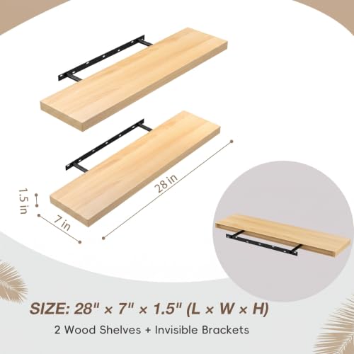 Floating Wall Shelves (2 Count)