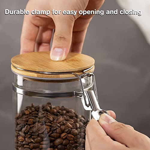 Coffee Container with Shelf (6 Count)