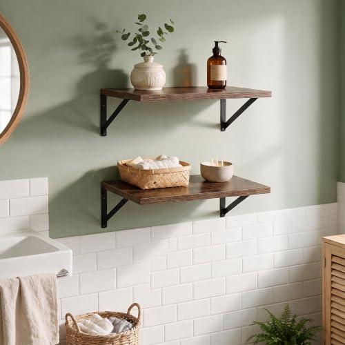 Wall Mounted Floating Shelves Set of 2 (2 Count)
