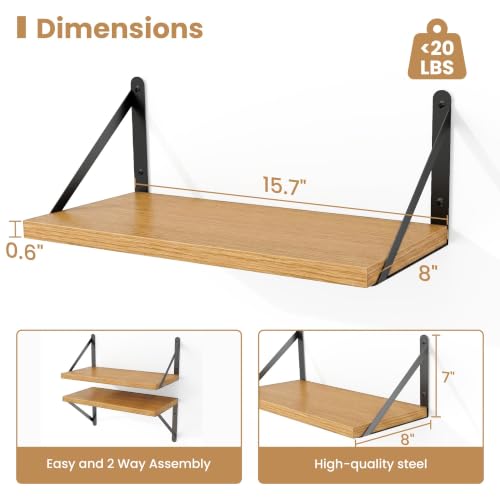 Floating Book Shelves for Wall (3 Count)