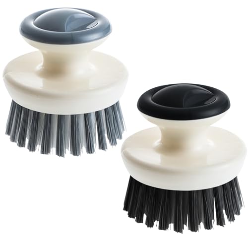 Dish Scrub Brush