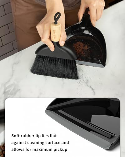 Mini Dustpan and Brush Set