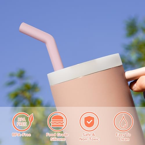 6PCS Stainless Steel Straws with Silicone Tip Fit for Stanley Cup (6 Count)