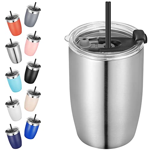 Stainless Steel 12 oz Tumblers bulk Vacuum Insulated Double Wall Travel Tumbler with Lid and Straw Reusable Tumbler
