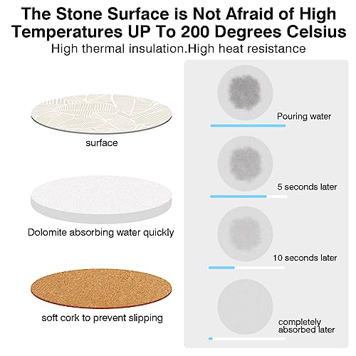 Ceramic Absorbent Table Coasters Set of 2 (2 Count)