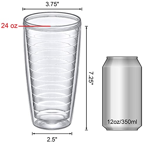 Alaska - 24-Ounce Insulated Plastic Tumblers (Set of 4), Double-Wall Plastic Drinking Glasses, All-Clear Reusable Cups, BPA-Free, Shatter-Proof, Dishwasher-Safe (4 Count)