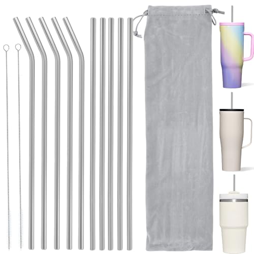 10 Pcs Stainless Steel Straw (12 Count)