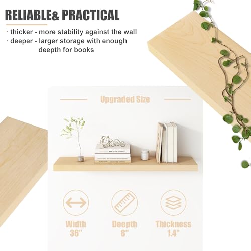 Floating Shelves for Wall (2 Count)