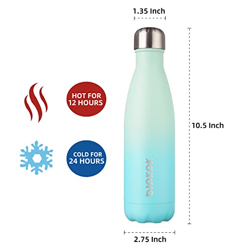 17 oz Insulated Water Bottle