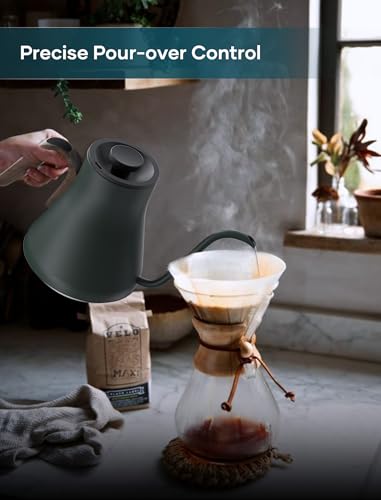 Gooseneck Electric Kettle with ±1℉ Temperature Control 0.9 Liter