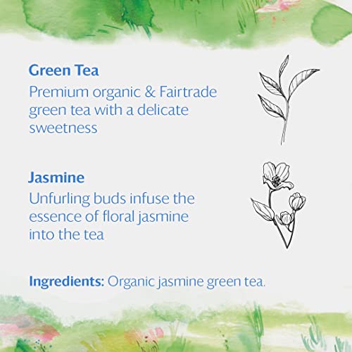 Organic JASMINE Green Tea (50 Count)