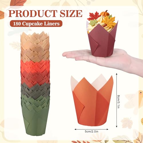 180 Pcs Autumn Tulip Cupcake Liners Warm Fall Muffin Baking Cups Wedding Colors Cupcake Wrappers for Thanksgiving Harvest Party Supplies Table Decor (180 Count)