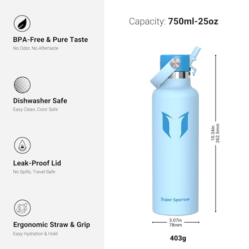 Insulated Water Bottle