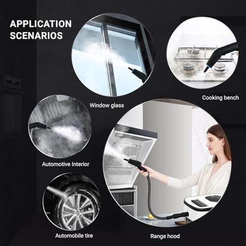 Steam Cleaner