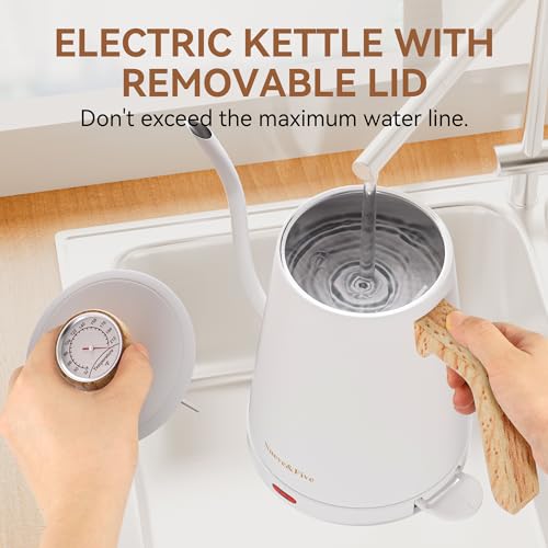 Electric Gooseneck Kettle with Thermometer