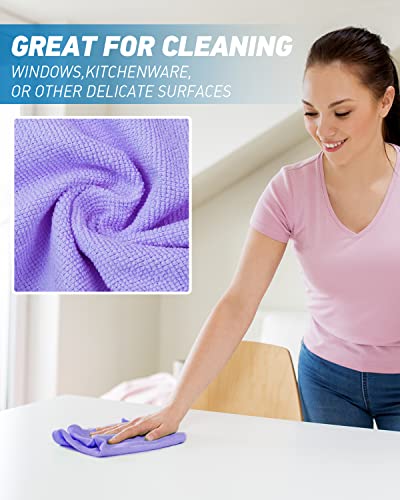 Microfiber Cleaning Cloth (24 Count)