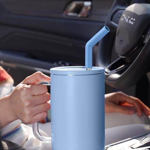 6 Pack Metal Straws with Silicone Tip Fit for Stanley 14 (6 Count)