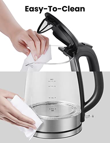 Glass Electric Tea Kettle & Hot Water Kettle Electric