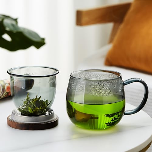 17 OZ Glass Tea Cup with Infuser and Lid (17 Fl Oz)