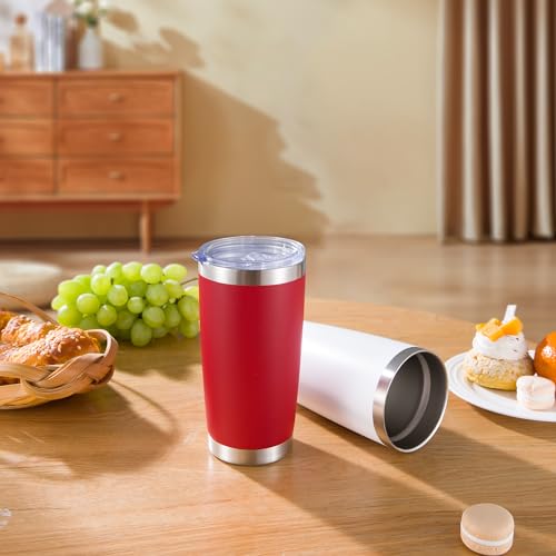 20 oz Tumblers Bulk Stainless Steel Tumbler with Lid (6 Count)