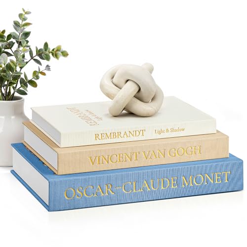 Aesthetic Decorative Books (3 Count)
