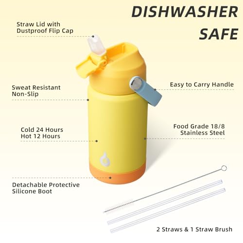 12oz Insulated Water Bottle