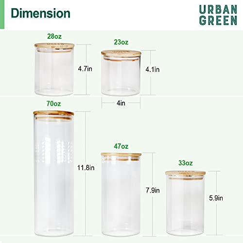 Glass Jars with Airtight Lids (6 Count)