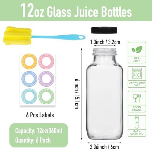 6 Pack 12oz Glass Water Bottles