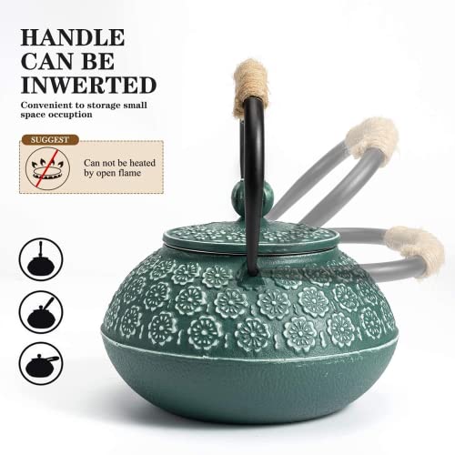 Cast Iron Tea Pot with Infusers for Loose Tea