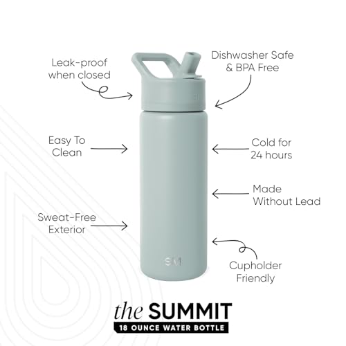 Insulated Water Bottle with Straw