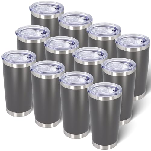 20oz Tumbler with Lid Stainless Steel Tumblers Insulated Mug Grey 12P (12 Count)
