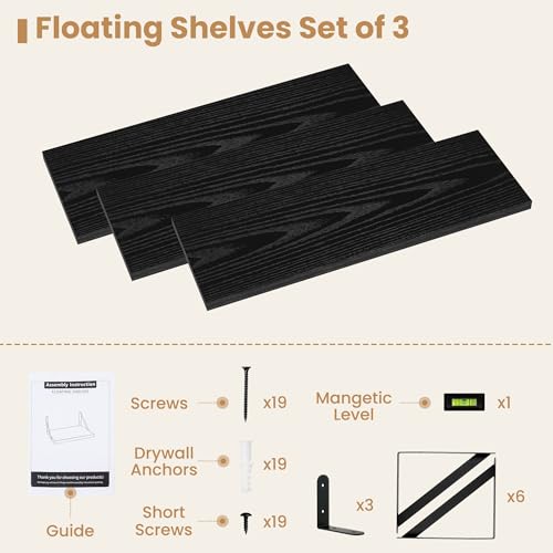 Floating Book Shelves for Wall (3 Count)