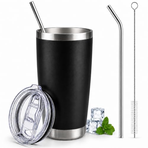 20 oz Stainless Steel Insulated Tumbler with Lid and Straw