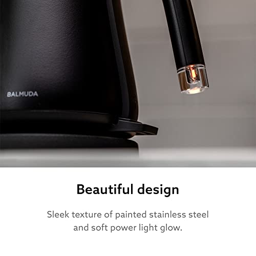 The Kettle Electric Gooseneck Kettle