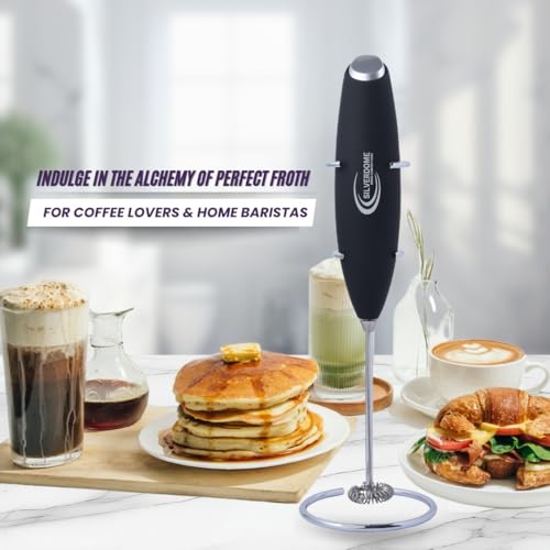 s Powerful Handheld Milk Frother