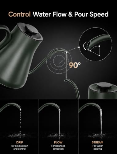 Gooseneck Electric Kettle