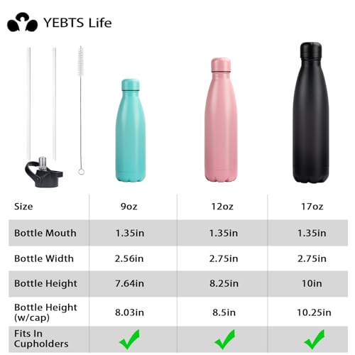 Insulated Water Bottle (2 Count)