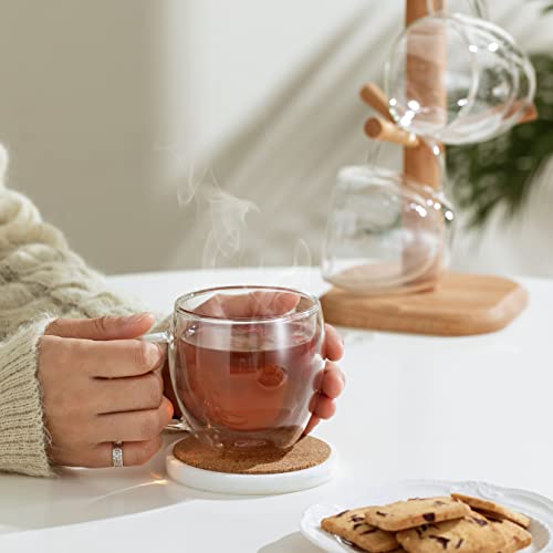 Double Wall Glass Coffee Mugs with Handle (2 Count)