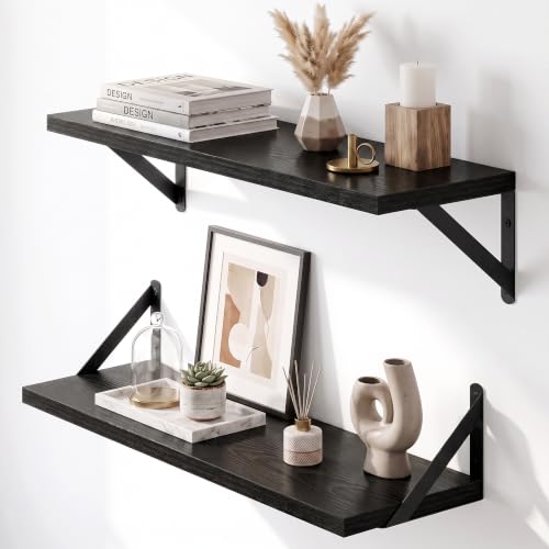 Wall Mounted Floating Shelves Set of 2 (2 Count)