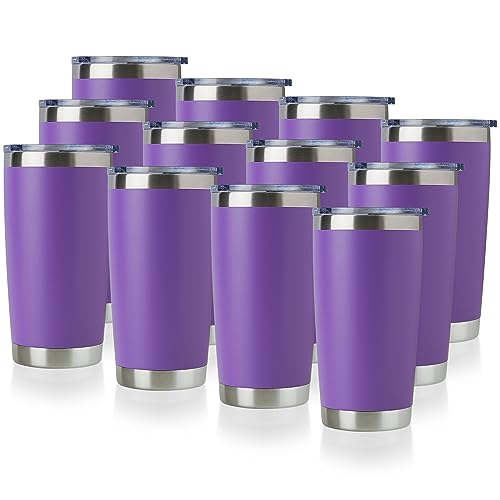 20oz Stainless Steel Tumbler Bulk with Lid (12 Count)
