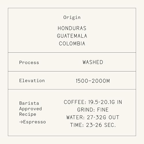 Streetlevel Whole Bean Coffee (12 Ounce)